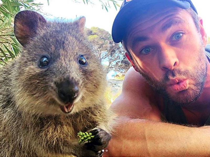 Australia’s happiest animal gets a visit from Chris Hemsworth
