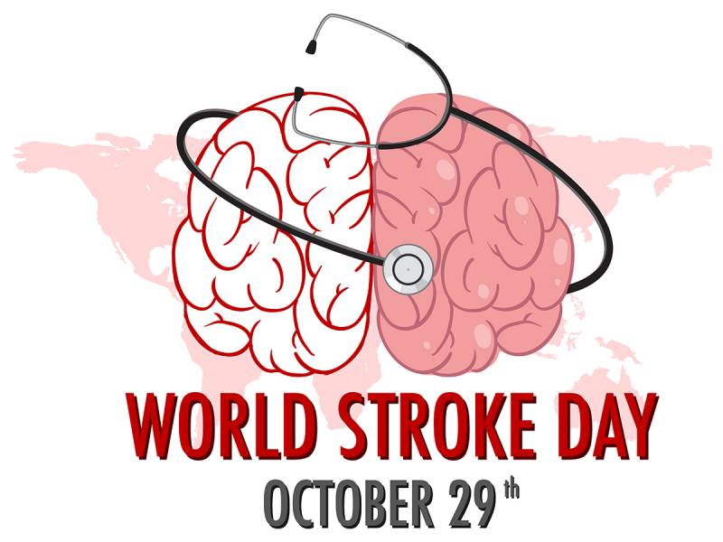 The World Stroke Congress 2022: Professional Outcomes & Community Benefits!