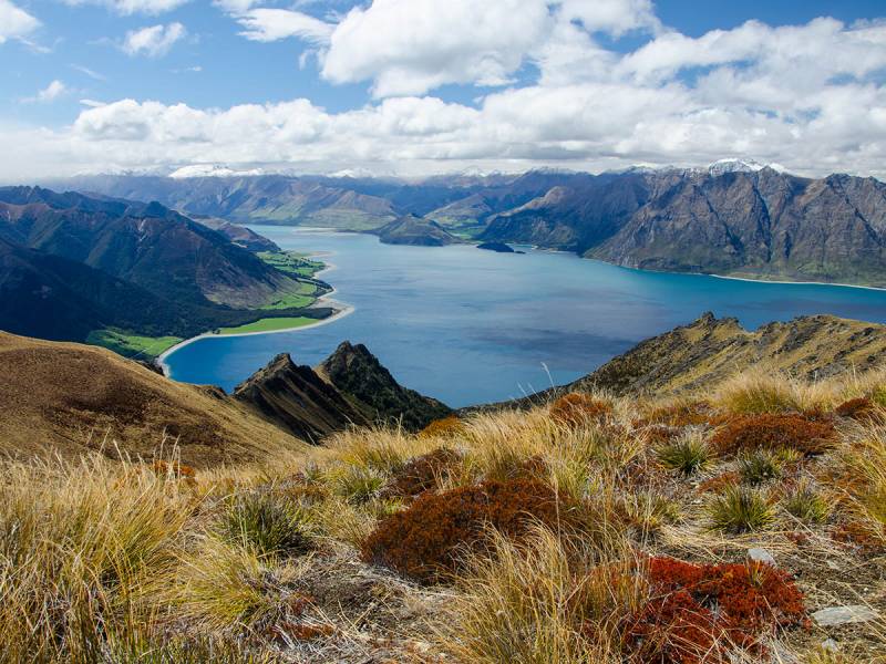 Tourism New Zealand Take Home the ICCA Best Marketing Award 2023