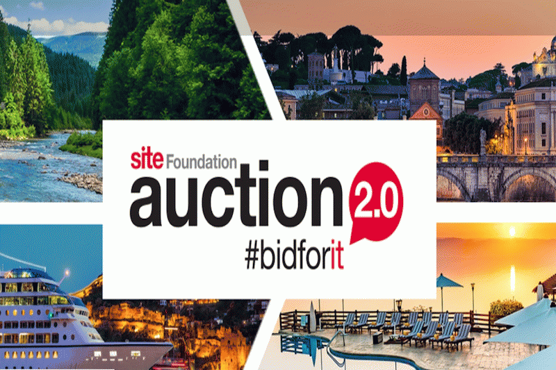 Auction 2.0 offers luxury travel experiences around the globe
