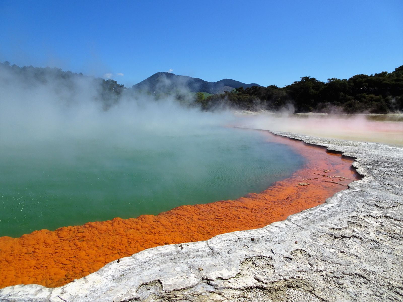 Champagne Pool, Wai-O-Tapu Thermal Wonderland